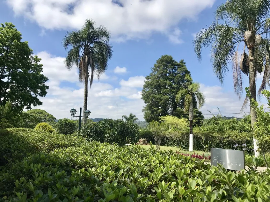 Jardim com palmeiras, arbustos e árvores sob céu azul
