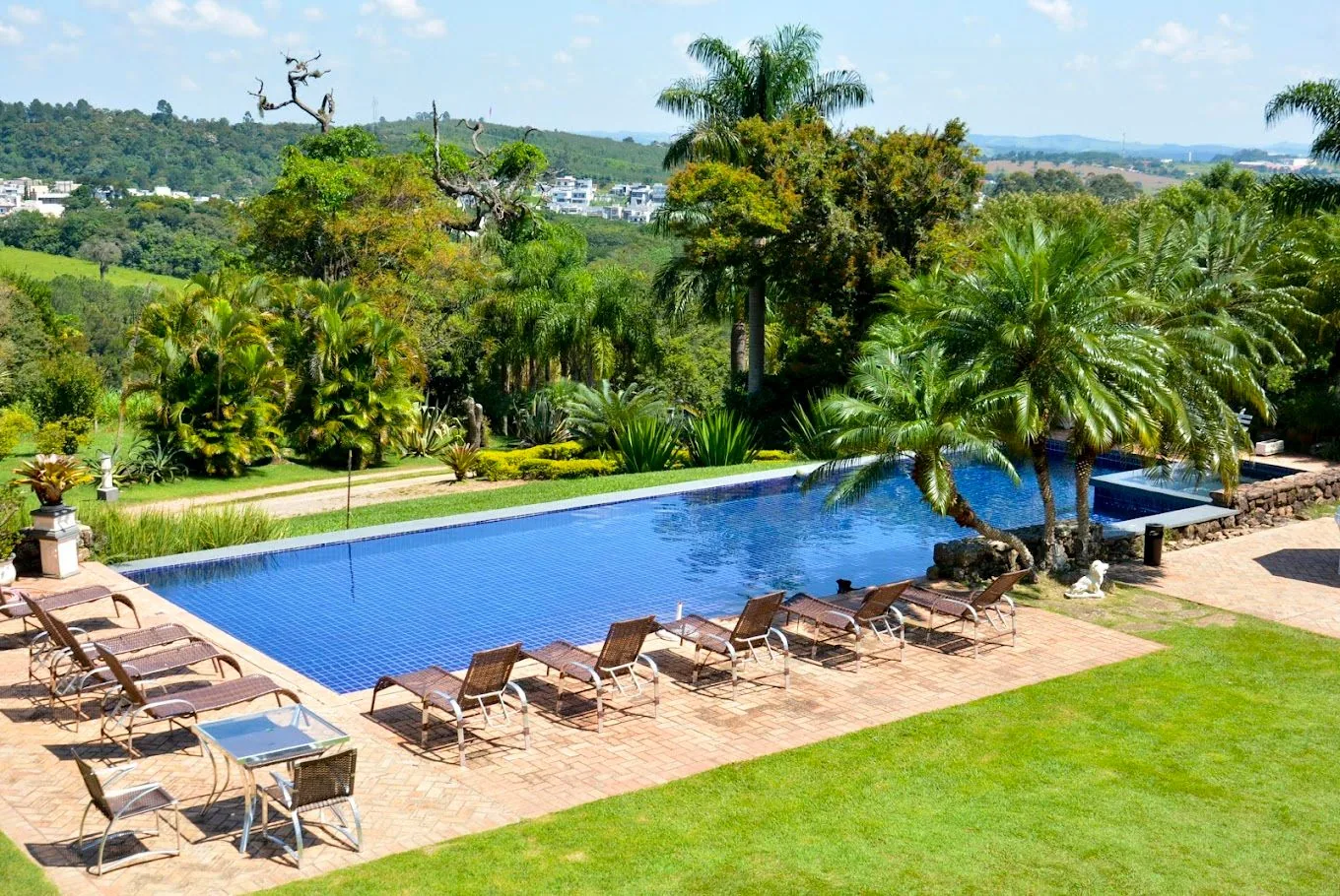 Piscina com espreguiçadeiras e palmeiras, vista do alto
