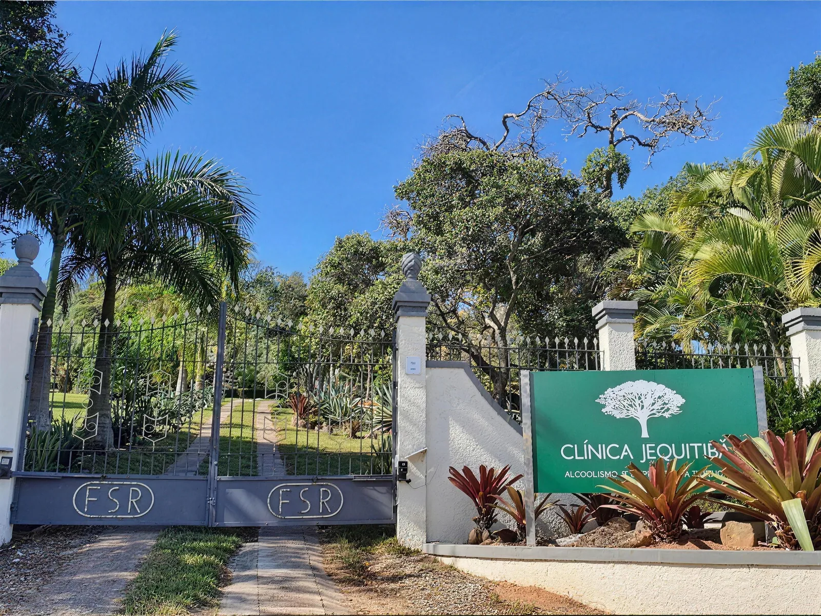 Portão de entrada com a placa da Clínica Jequitibá e jardim de palmeiras